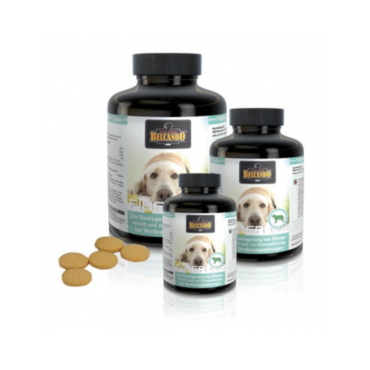 Belcando Fiber Tabs
