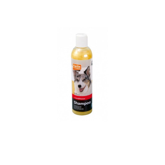 Hundeshampoo Ringblume-Honig 300 ml